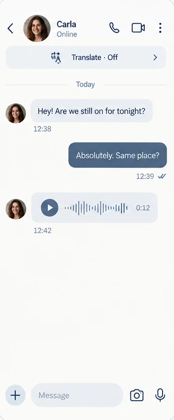 Chat with Carla showing text messages and a voice message